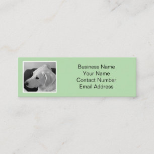 Simple and Elegant Light Green Dog Photo Pet  Mini Business Card