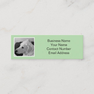 Simple and Elegant Light Green Dog Photo Pet Mini Business Card