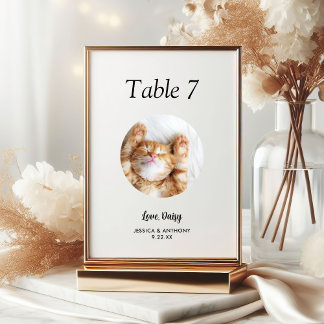 Simple Black and White Cat Photo Wedding  Table Number