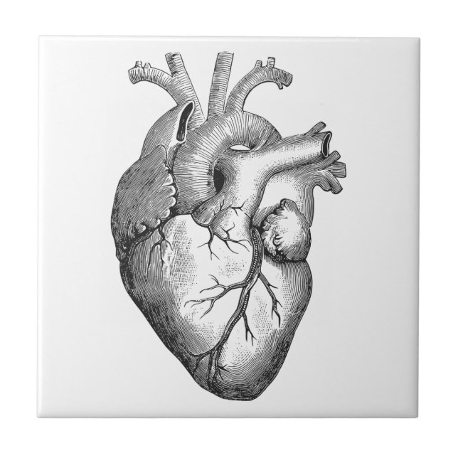 Simple Black White Anatomy Heart Illustration Tile (Front)