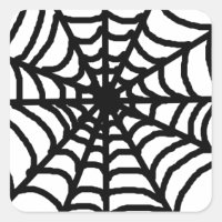 Simple Black white Spider Web