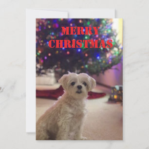 Simple Bold Christmas Card