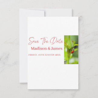 SImple budget save the date script invitations