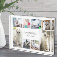 Simple Cat Pet Photo Collage
