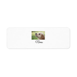 Simple colourful animal add name photo custom thro