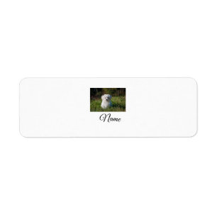 Simple colourful animal add name photo custom thro