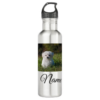Simple colourful animal add name photo custom thro 710 ml water bottle
