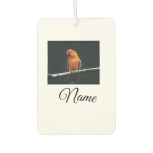 Simple colourful animal add name photo custom thro car air freshener
