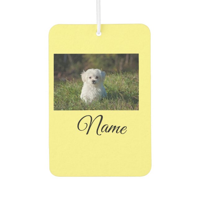 Simple colourful animal add name photo custom thro car air freshener (Front)