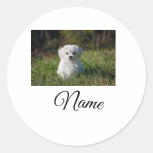 Simple colourful animal add name photo custom thro classic round sticker