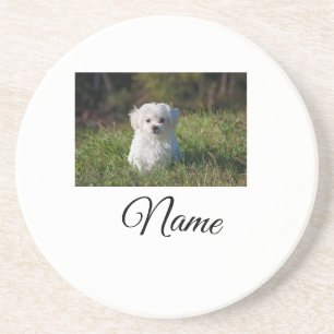 Simple colourful animal add name photo custom thro coaster