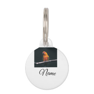 Simple colourful animal add name photo custom thro pet tag