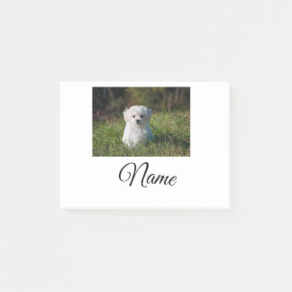 Simple colourful animal add name photo custom thro post-it notes