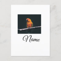 Simple colourful animal add name photo custom thro