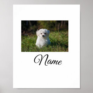 Simple colourful animal add name photo custom thro poster