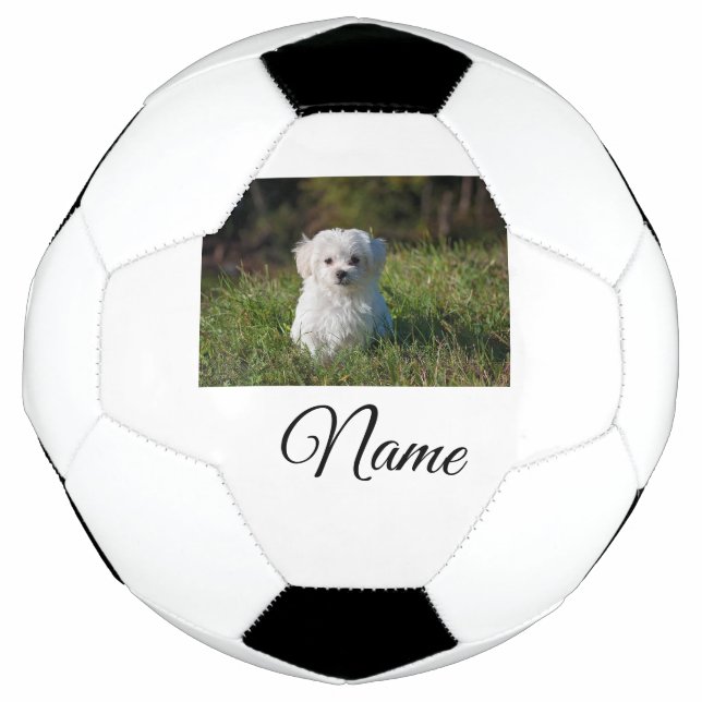 Simple colourful animal add name photo custom thro soccer ball (Front)
