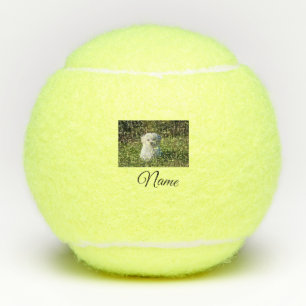 Simple colourful animal add name photo custom thro tennis balls