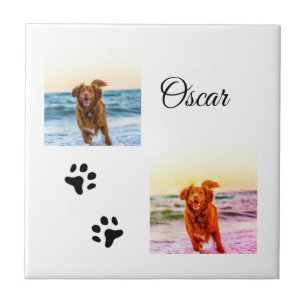 Simple colourful animal add name photo custom tile