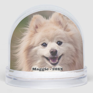 Simple Custom Pomeranian Dog Photo Snowglobe