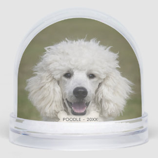 Simple Custom Poodle Dog Photo Snowglobe