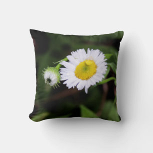 Simple Daisy in the Forest Cushion