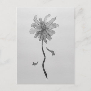 Simple Daisy Postcard