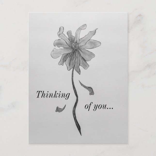 Simple Daisy Thinking Of You Postcard (Front)