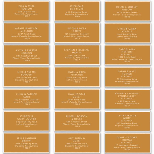 Simple Desert | Burnt Orange  Address Labels (Front)