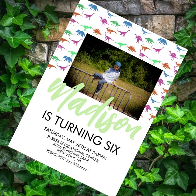 Simple Dinosaur Birthday Party Photo Invitation (Creator Uploaded)