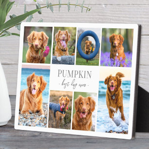 Simple Dog Pet Photo Collage Plaque