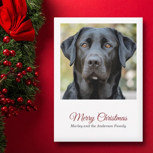 Simple Dog Photo Merry Christmas Holiday Card (Simple Dog Photo Merry Christmas Holiday Card)