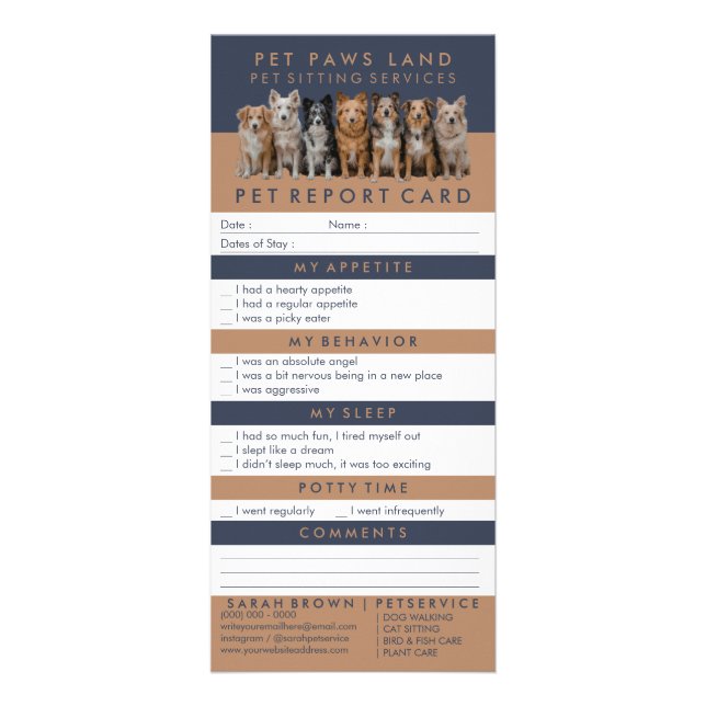 Simple Dog Walker / Pet Sitter Rack Card  (Front)