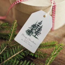 Simple Elegant Christmas tree | Pine tree