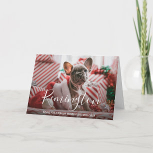 Simple Elegant Cute Photo Dog Christmas Holiday Card