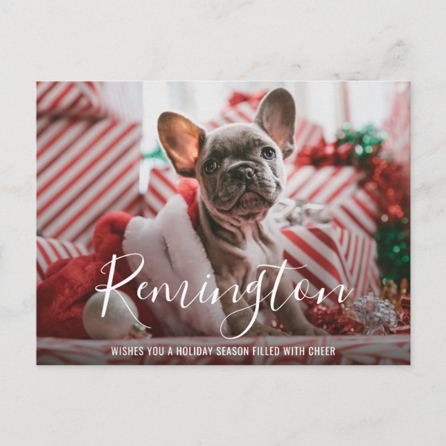 Simple Elegant Cute Photo Dog Christmas Holiday Postcard (Front)