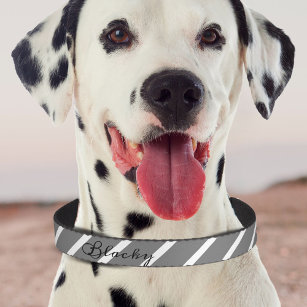 Simple Elegant Grey and White Stripe Script Name Pet Collar