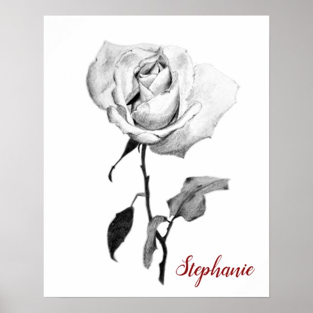 Simple Elegant White Rose in Black Graphite Pencil Poster (Front)