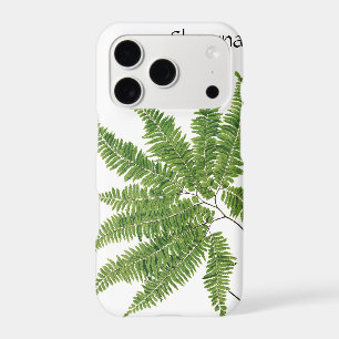 Simple fern, 