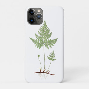 Simple fern,  Case-Mate iPhone case