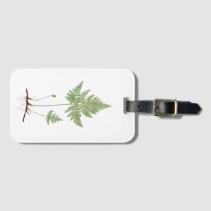 Simple fern, luggage tag
