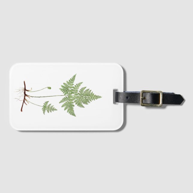 Simple fern, luggage tag (Front Horizontal)