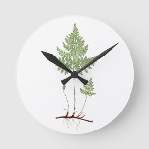 Simple Fern, Round Clock