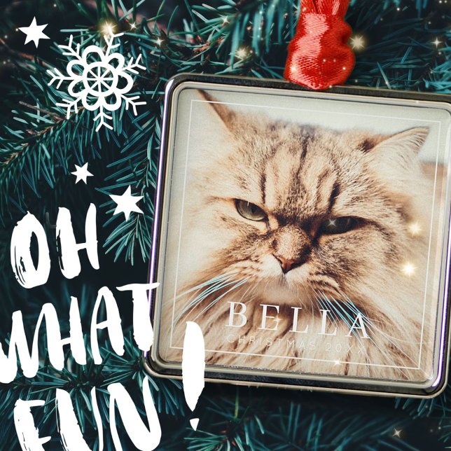 Simple Frame Modern Chic Family Pet Photo Holiday Metal Tree Decoration (Creator Uploaded)