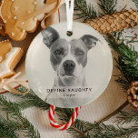 Simple Funny 'Define Naughty' Pet Photo Keepsake  Glass Tree Decoration<br><div class="desc">Create a funny pet's christmas ornament with this simple modern template. Design features a photo of your dog/cat,  a white overlay banner with the text 'DEFINE NAUGHTY' and the pet's name.</div>