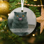 Simple Funny 'Define Naughty' Pet Photo Keepsake  Glass Tree Decoration<br><div class="desc">Create a funny pet's christmas ornament with this simple modern template. Design features a photo of your dog/cat,  a white overlay banner with the text 'DEFINE NAUGHTY' and the pet's name.</div>