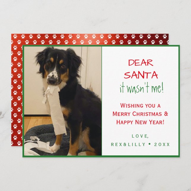 Simple Funny Red and Green Paw Print Dog Holiday Card (Front/Back)