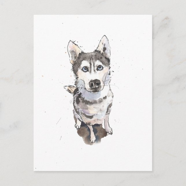 simple Grey Husky cute funny dog Postcard (Front)
