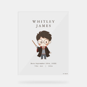 Simple Harry Potter Baby Shower Acrylic Sign