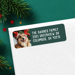 Simple holiday pet photo green return address