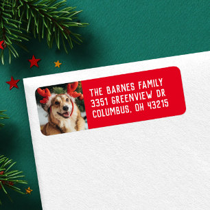 Simple holiday pet photo red return address